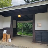 エヴァム・エヴァ・ヤマナシ・アジ - 