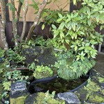 ひさ屋 - 庭先には、木々で緑がいっぱい