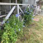 ラフォンテ - 外で食べられるところにもお花が咲いてます