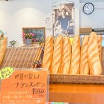 프랑스 베카리 - 