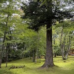 Hamburger Steak Senmon Ten IZUTSUYA