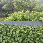 エグ・ヴィヴ - 