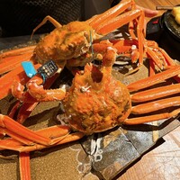 マキノンチ - 