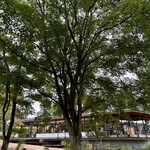 SHOZO COFFEE KARUIZAWA - 