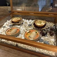 yokoyama - 