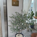 ぱんと菓子 いろり - 