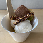 アサコ イワヤナギ プリュス - 