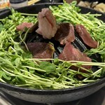 大衆ジンギスカン酒場 ラムちゃん 有楽町店 - 