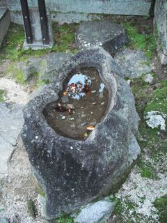 Anagomeshi Wada - 陰の石