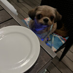 イル キャンティ ビーチェ - 