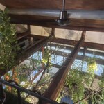 ハックベリー - 