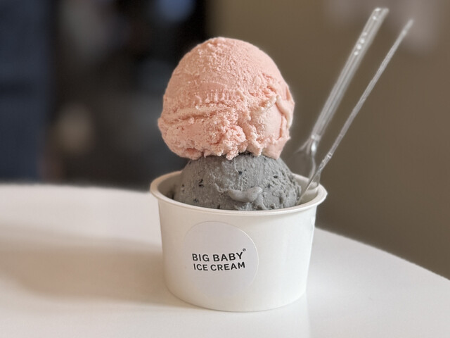 巨大アイスクリーム 大山乳業アイスクリーム】収穫祭10個入: 全農とっとり JAタウン