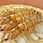 和酒房 山本 - 車海老