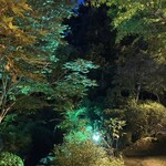 日本料理 和か葉 - 