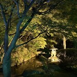 日本料理 和か葉 - 