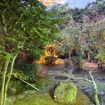 日本料理 和か葉 - 