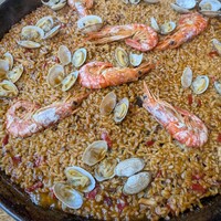 anchoa - 