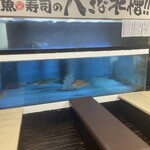 活魚寿司 - 