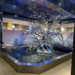 包廂餐廳 Umeko之屋 大宮東口站前店 - 