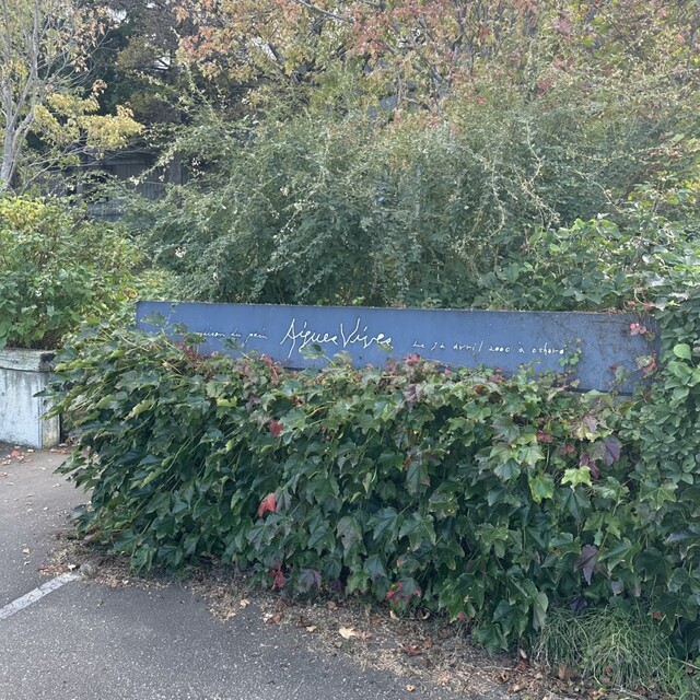 エグ・ヴィヴ（Aigues Vives） - 蘭島（パン）の写真