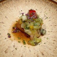 Selvaggio - 