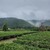 伊勢宮川の里 鄙茅 - ドリンク写真:
