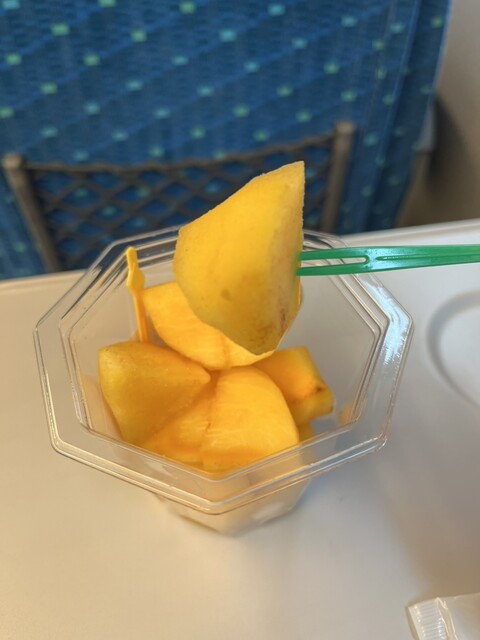 Yamaguchi Kudamono Ekimaruse Shin Osaka Ten photo 3