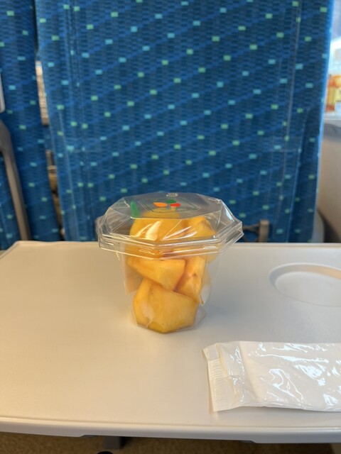 Yamaguchi Kudamono Ekimaruse Shin Osaka Ten photo 5