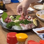 明ごころ - お造り