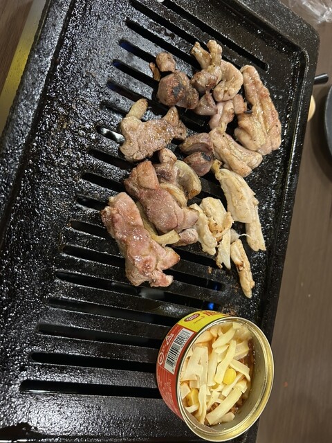 Fujiyama Dragon Kitanoda Ten