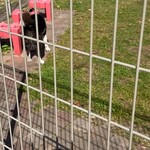 由仁パーキングエリア（下り） - 