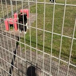 由仁パーキングエリア（下り） - 