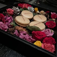VELROSIER - 