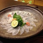 まつおか - 14.10目板かれい