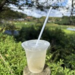 コチカ - ジンジャープラム