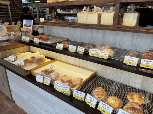 Hot Cross Minamihorie Ten photo 3