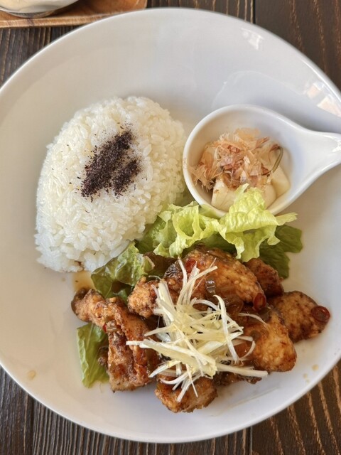 S.A.A.F. Surf &amp; Cafe