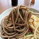 池内うどん店 - 