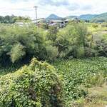 池内うどん店 - 