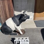 ぶた福 チャコール - 