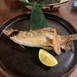 山形料理と地酒 こあら - 