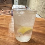 オテルドゥオガワ - 