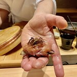 龍寿し - 次は手渡しになりますので写真撮られるようでしたらどうぞと快くシャッターチャンスをくださる大将(*^^*)