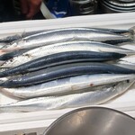 桶家乃隠居 - 秋刀魚