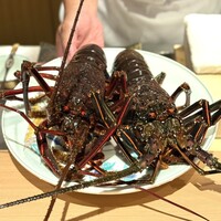 日本料理FUJI - ・焼津産 伊勢海老