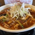 ラーメン南の - 酸辣湯麺大盛
