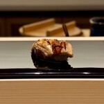 鮨 ゆうき - 穴子