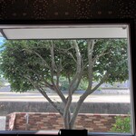 カフェ 青と蒼 - 引いてるけど、総社川見えます