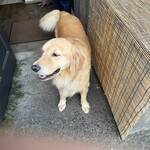 イル・ピッツァイオーロ - 