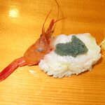 ていね鯉寿し - 